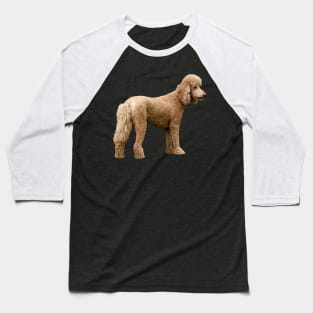 Apricot Poodle Baseball T-Shirt